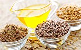 قیمت جهانی گندم، ذرت و دانه‌ های روغنی افزایش یافت